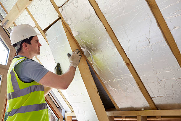 Best Insulation Maintenance and Repair in Bee Cave, TX
